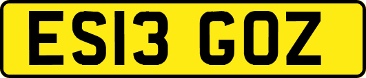 ES13GOZ