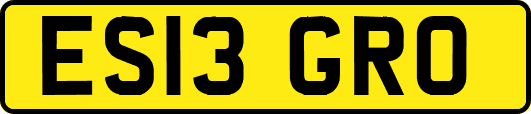 ES13GRO