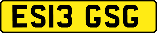 ES13GSG