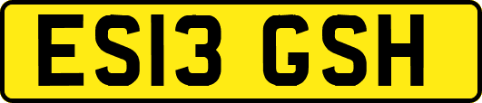 ES13GSH