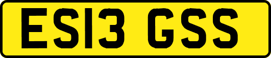ES13GSS