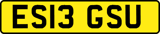 ES13GSU