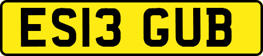 ES13GUB