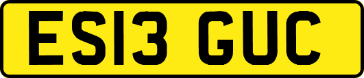 ES13GUC