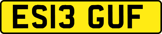 ES13GUF