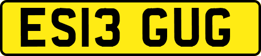 ES13GUG