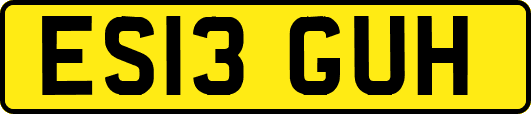 ES13GUH