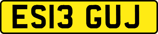 ES13GUJ