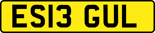 ES13GUL