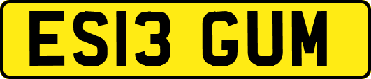 ES13GUM