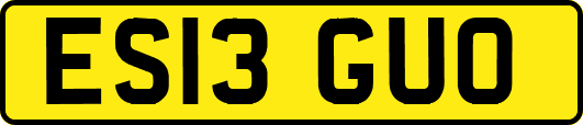 ES13GUO
