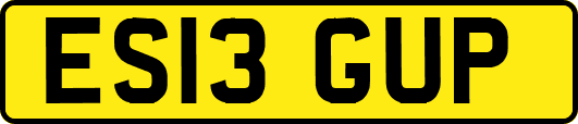 ES13GUP