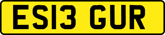 ES13GUR