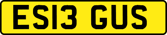 ES13GUS