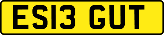 ES13GUT