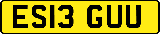 ES13GUU