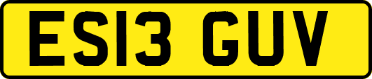 ES13GUV