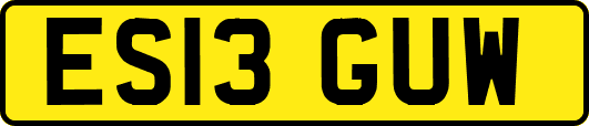 ES13GUW