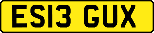ES13GUX