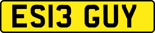 ES13GUY