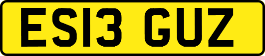 ES13GUZ