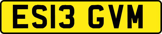 ES13GVM