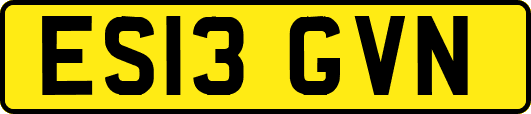 ES13GVN