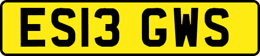 ES13GWS