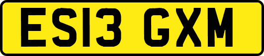ES13GXM