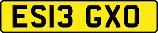 ES13GXO