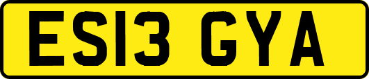 ES13GYA