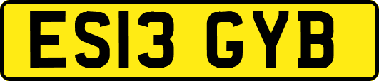 ES13GYB