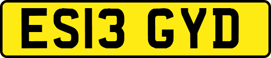 ES13GYD
