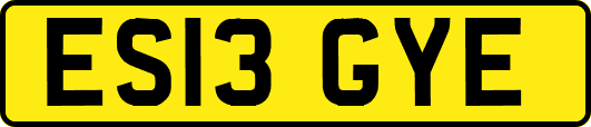 ES13GYE