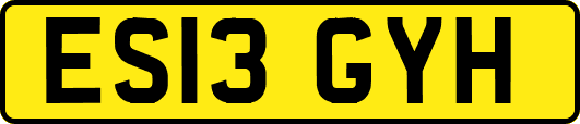 ES13GYH