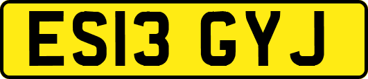 ES13GYJ