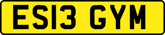 ES13GYM
