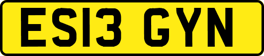 ES13GYN