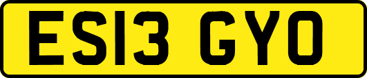 ES13GYO