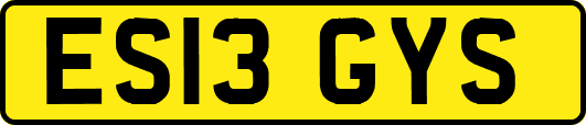 ES13GYS