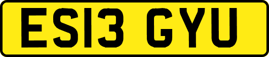 ES13GYU