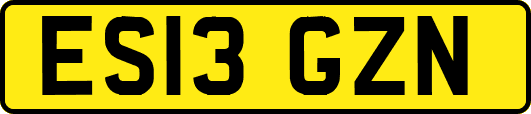 ES13GZN