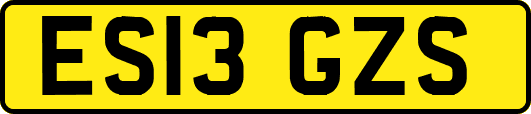 ES13GZS