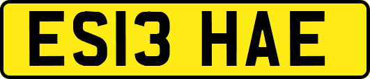 ES13HAE