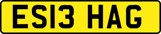 ES13HAG