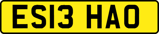 ES13HAO