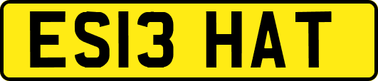 ES13HAT