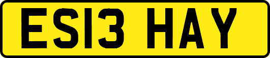 ES13HAY
