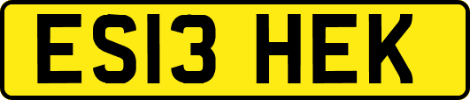 ES13HEK