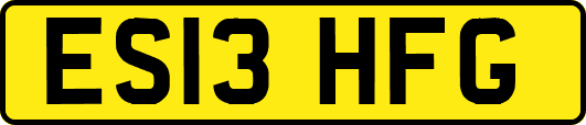 ES13HFG